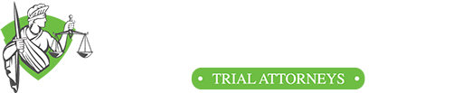 sd law group logo white